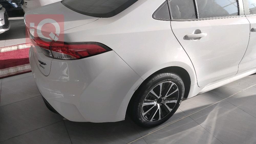 تويوتا كورولا